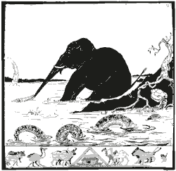 elephant and trunk